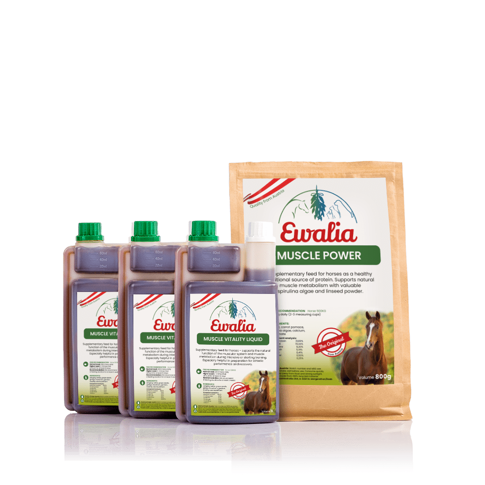 3 L Muscle Vitality Liquid + 800 g Muscle Power