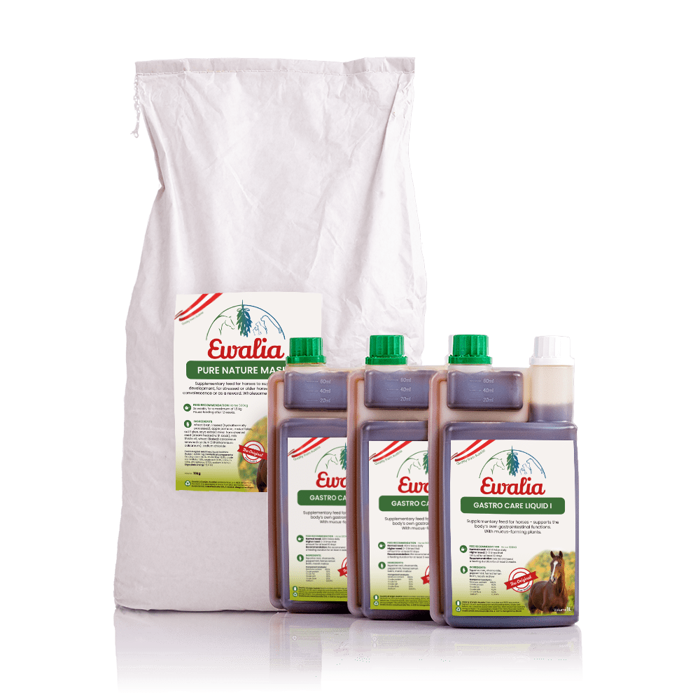 Bundle horse gastro care liquid 3L pure nature mash