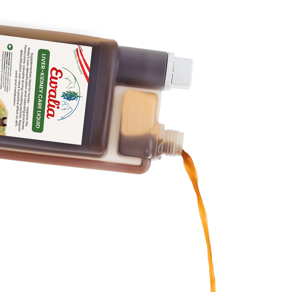 Ewalia herbal liquids open liver kidney care liquid