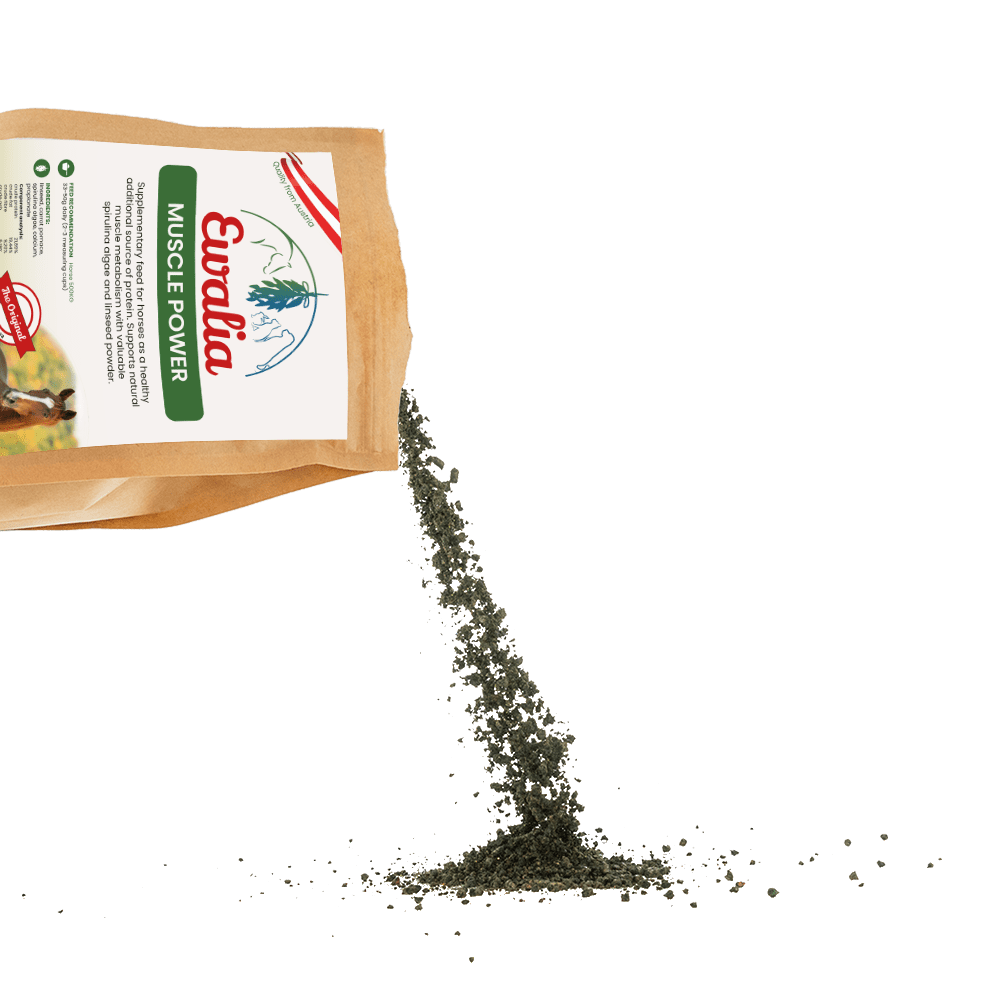 Ewalia feed material for horses open muscle power