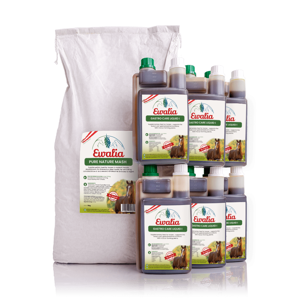 3 L Airway Respiratory Care Liquid + Black Cumin Oil 1 L