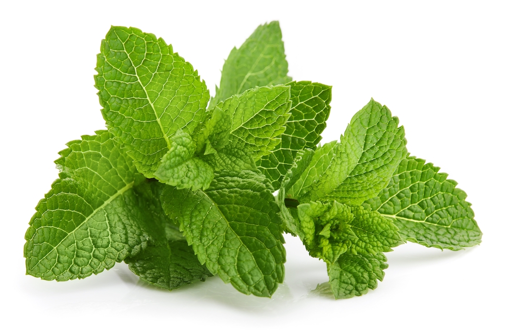 peppermint peppermint-Media