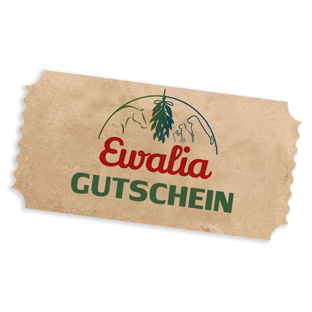 Digital Gift Voucher