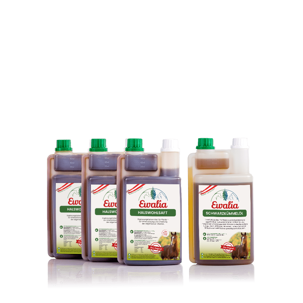 3 L Airway Respiratory Care Liquid + Black Cumin Oil 1 L