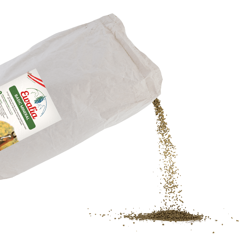 Ewalia feed material for horses open basic mineral