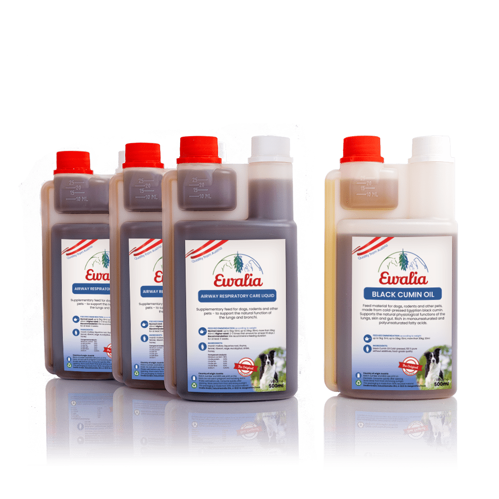 Airway Respiratory Care Liquid and Black Cumin Oil for Dogs
