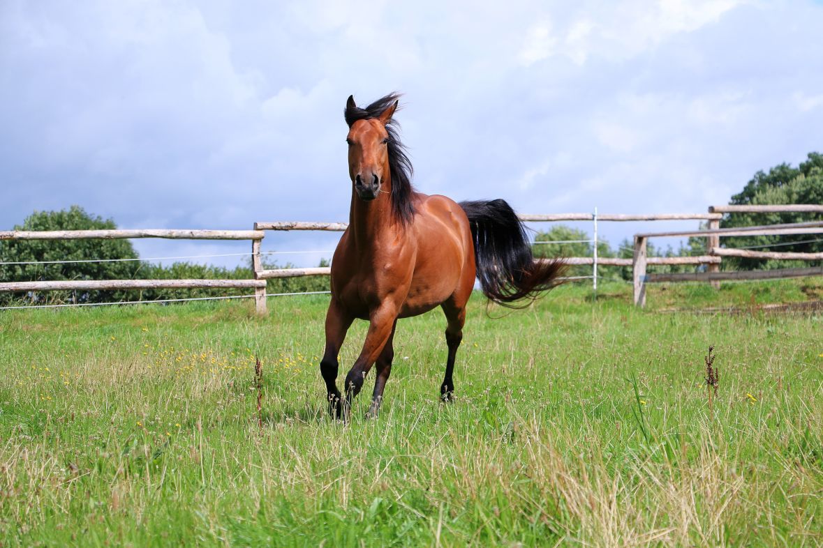 24/7 turnout – the more, the better?