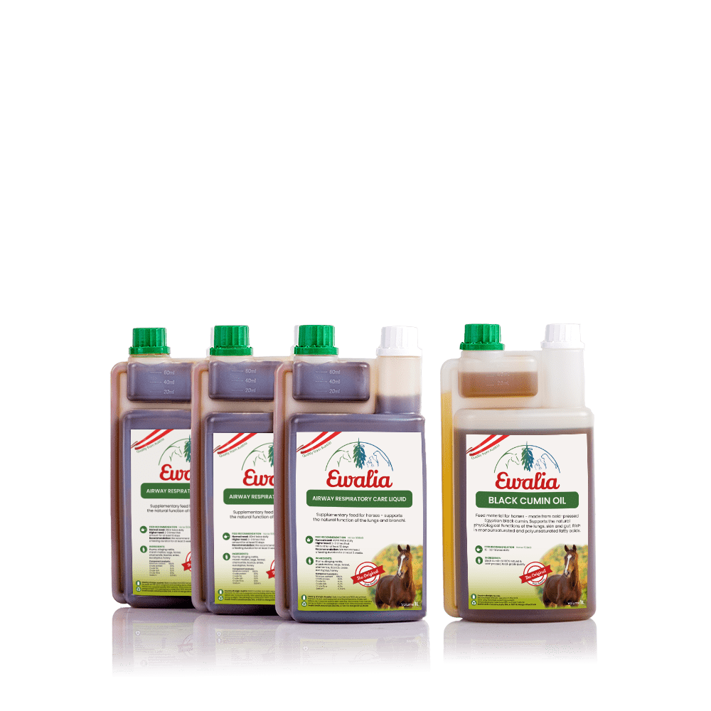 3 L Airway Respiratory Care Liquid + Black Cumin Oil 1 L