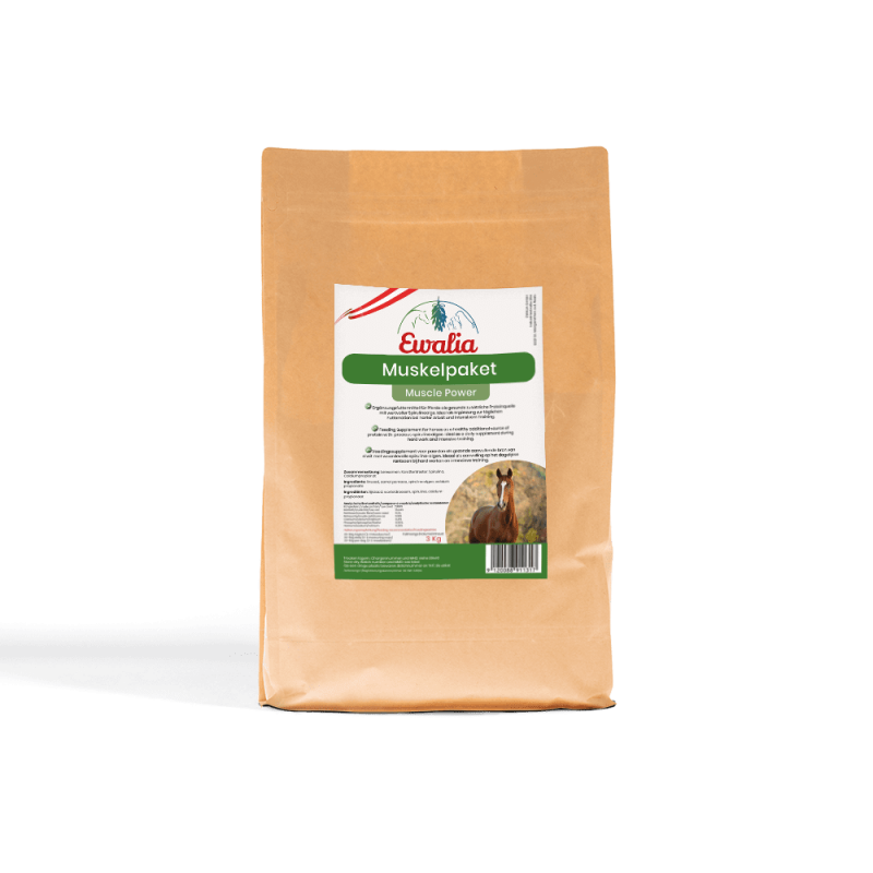 PSSM in horses Type 1 PSSM and Type 2 PSSM » Ewalia